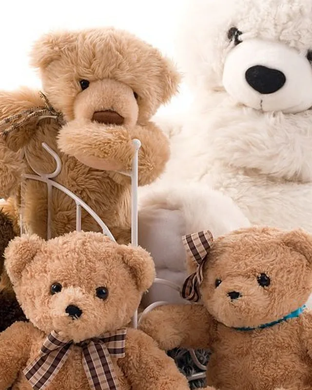 Classic Teddy Bear