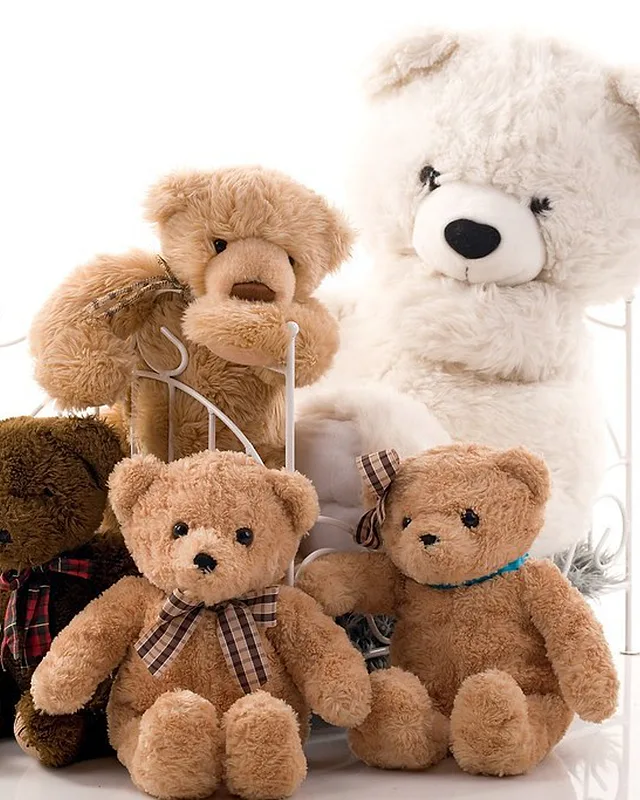 Classic Teddy Bear