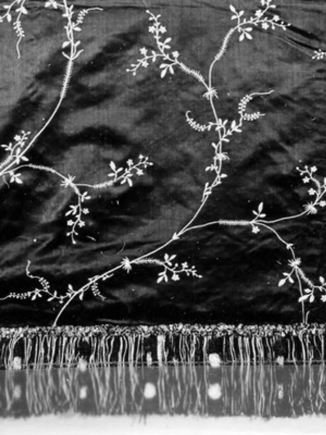 Sitara Embroidered Silk Dupatta