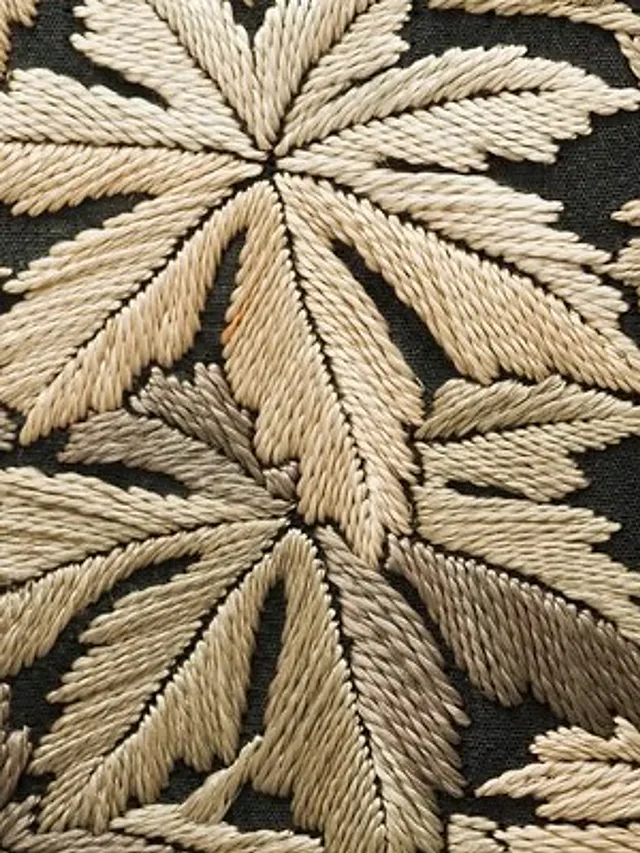 Chinar Embroidered Black Shawl